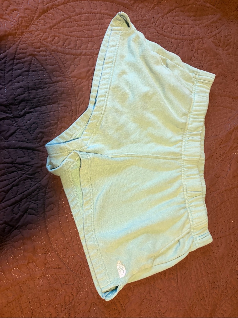 The North Face Mint Green Fleece Shorts